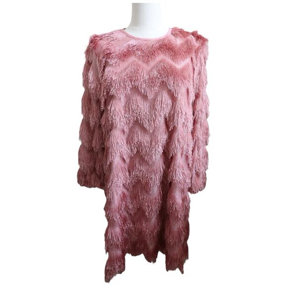 Anthropologie Hutch Fringed Chevron Shift Dress in Rose Size S - Picture 4 of 13